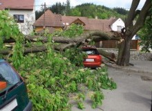 Kwikfynd Tree Cutting Services
gooseberryhill